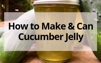 Sweet and Tangy Cucumber Jelly