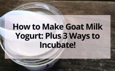 How to Make Goat Milk Yogurt: Plus 3 Ways to Incubate!