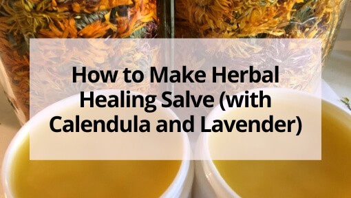 How to Make Herbal Healing Salve (with Calendula and Lavender)