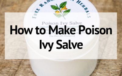 How to Make Jewelweed Salve for Poison Ivy, Bug Bites, or Rashes