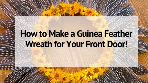 How to Make a Guinea Feather Wreath for Your Front Door!