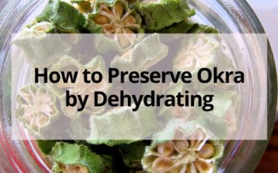 Dried Okra- How to Preserve Okra by Dehydrating