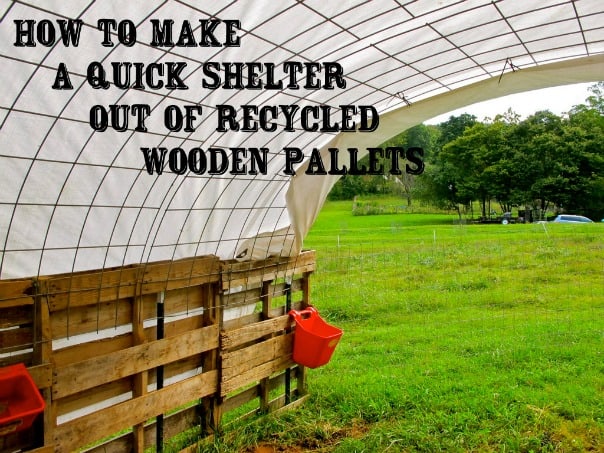 How to make a quick shelter out of recycled wooden pallets