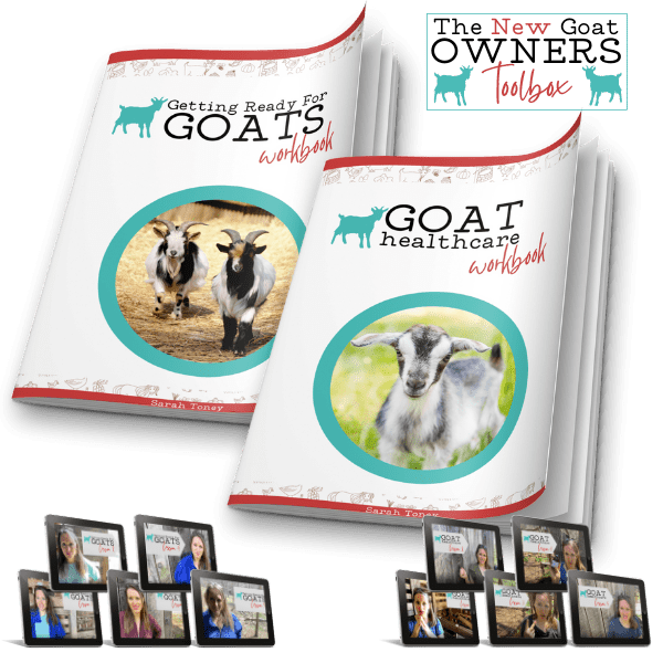 new goat owners toolbox contents