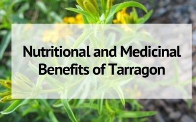 Nutritional and Medicinal Benefits of Tarragon
