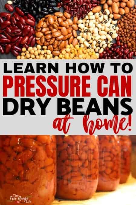 learn how to pressure can dry beans at home with piles of dry beans and jars of canned beans