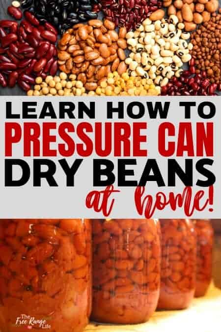 Pressure Canning PINTO BEANS (No-Soak Method)