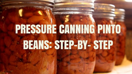 Pressure Canning Pinto Beans Step-By- Step