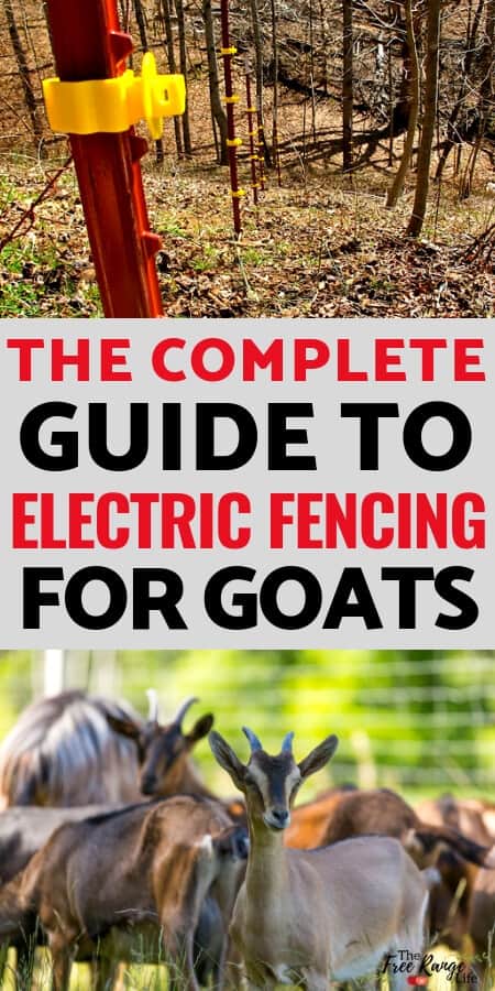 HOW TO BUILD AN ELECTRIC FENCE FOR CATTLE – Meat Goats