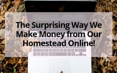 The Surprising Way We Make Money from Our Homestead Online!