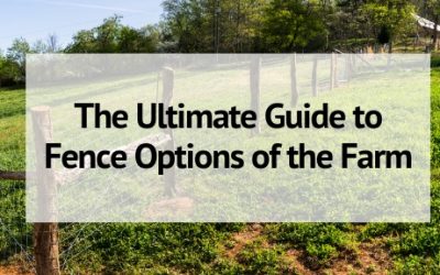 The Ultimate Guide to Your Farm Fencing Options