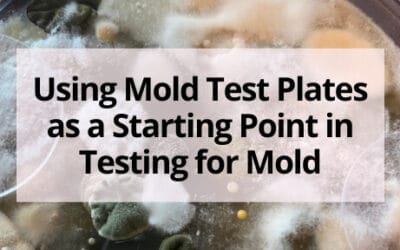 Using Mold Test Plates as a Starting Point in Testing for Mold
