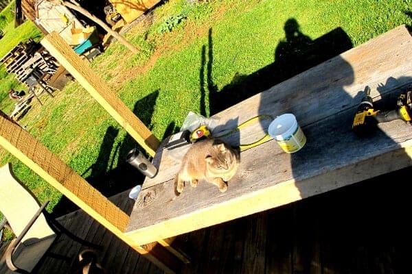 a DIY milk stand being built with scrap wood