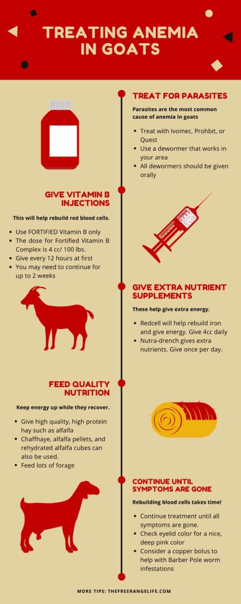 treatment for arthritis in goats