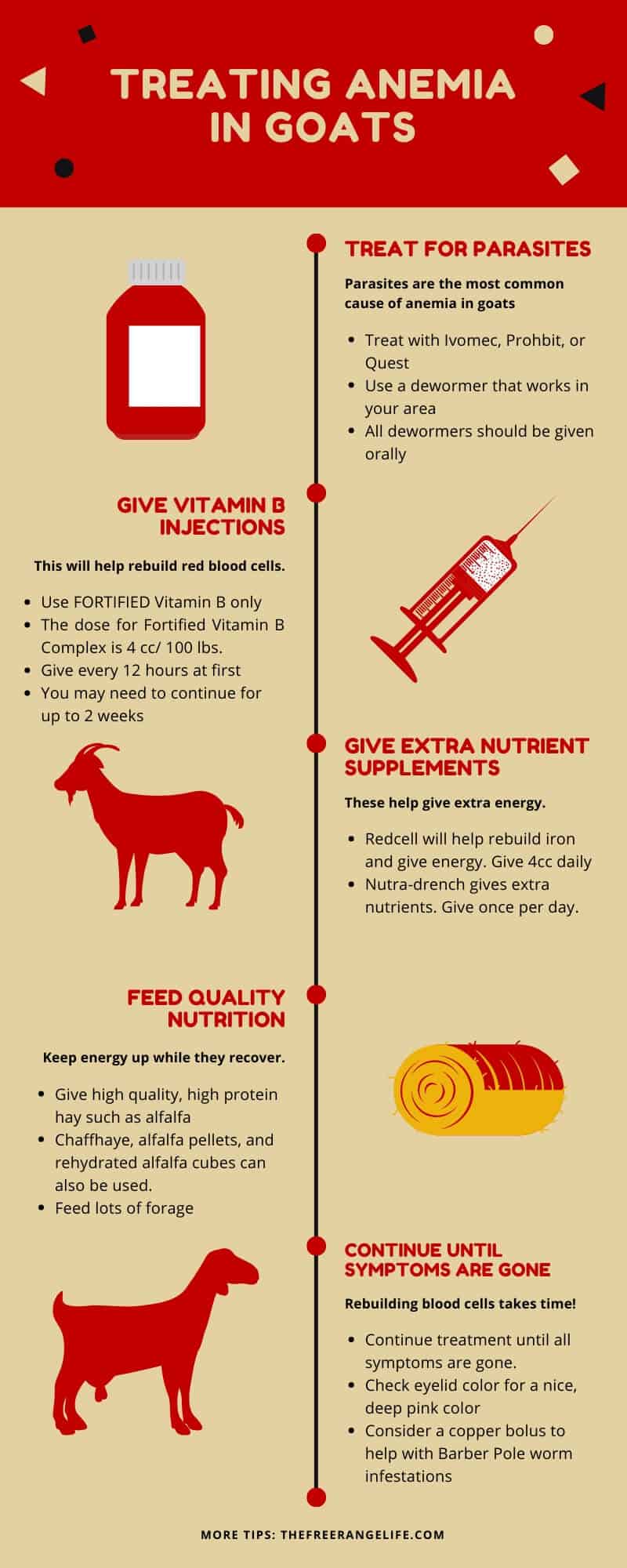 anemia in goats infographic