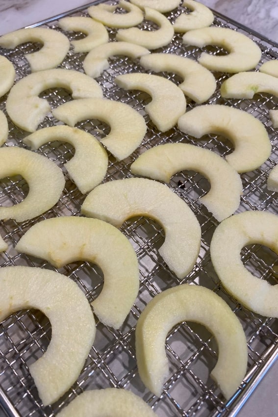 apple slices on a tray ready for dehydrating