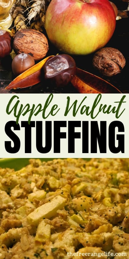 Holiday Recipes: Wow your family this holiday season with this savory and delicious Apple Walnut Stuffing recipe!