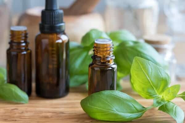 brown essential oil bottles with fresh basil leaves on a table