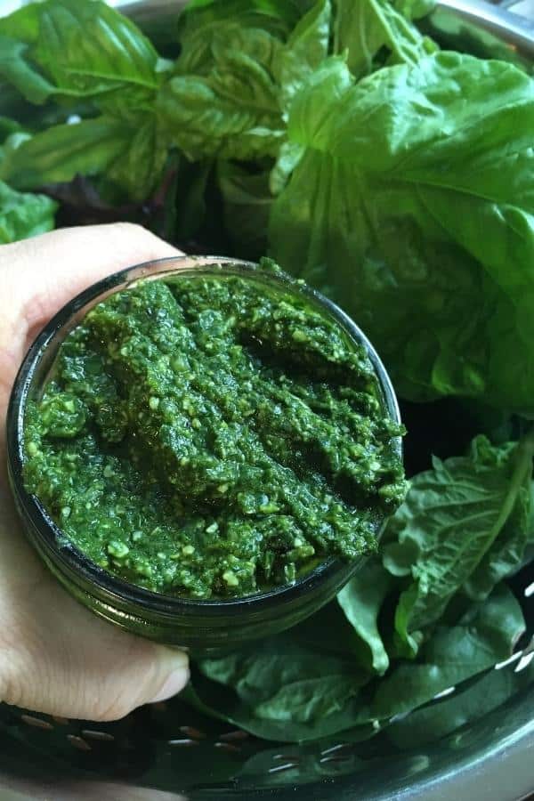 close up of top of jar of basil pesto with fresh basil leaves in background