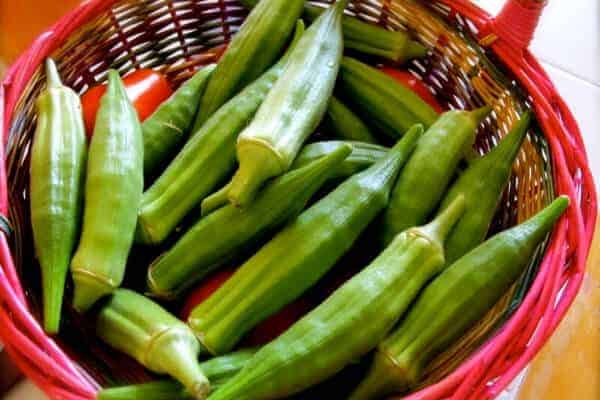 How to Grow Okra From Seed to  Harvest