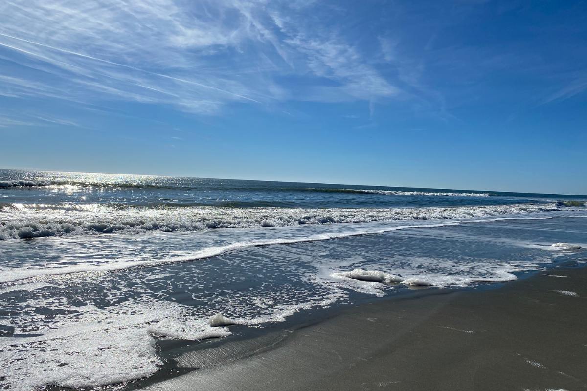 empty beach and ocean