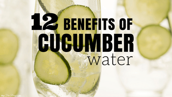 12 Benefits Of Cucumber Water A Healthy Way To Stay Hydrated The Free Range Life 0940