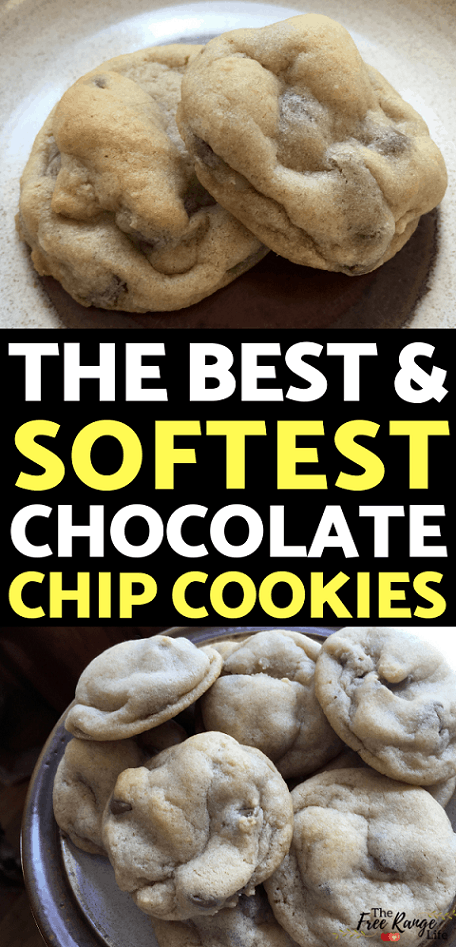 Cookie Recipes: If you are in search of the best chocolate chip cookie recipe this is it! 