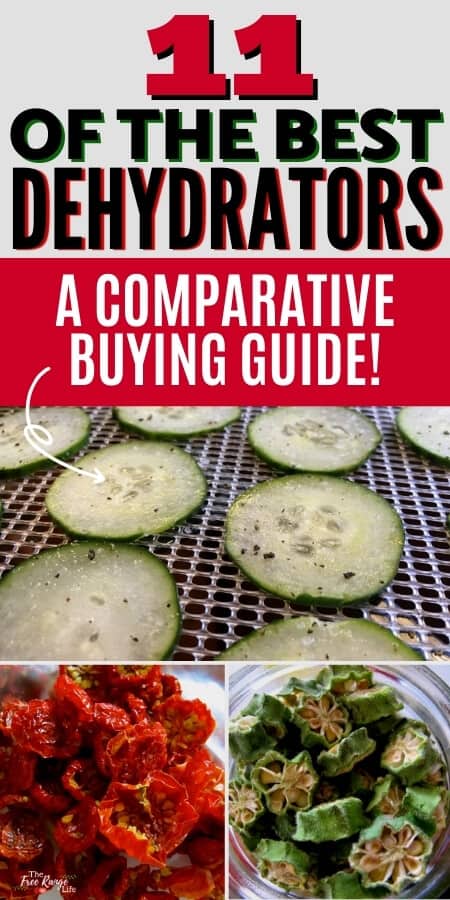 Choosing a Food Dehydrator