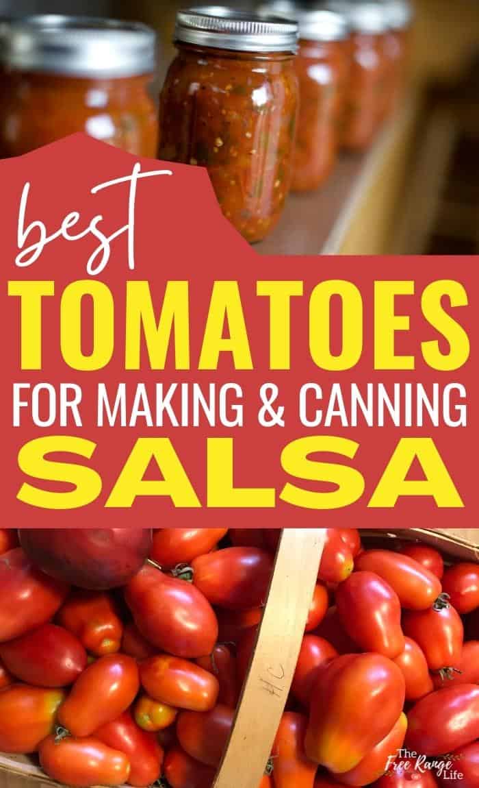 best tomatoes for making and canning salsa with picture of tomatoes in a basket and jars of canned salsa