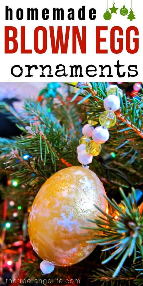 DIY Christmas Ornaments - Blown Egg Ornaments