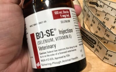 BoSe Dosage for Goats (+ When to Give It)