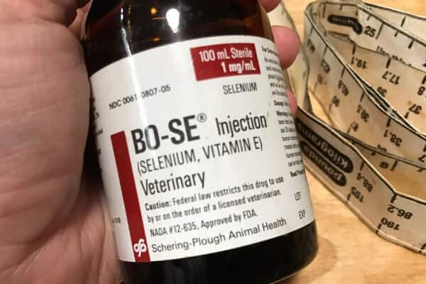 BoSe Dosage for Goats (+ When to Give It)