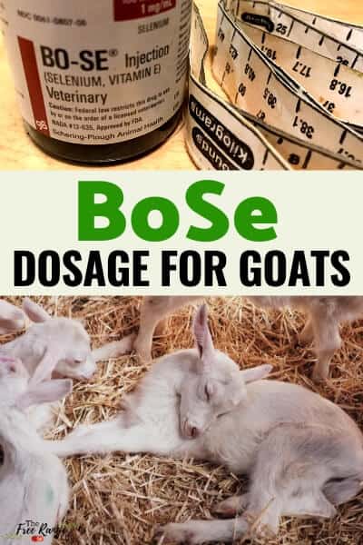 bose dosage for goats for selenium deficiency