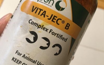 The Importance of B Vitamins to Your Goat’s Health