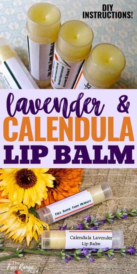 calendula and lavender lipbalm with with pictures of calendula and lipbalm tubes