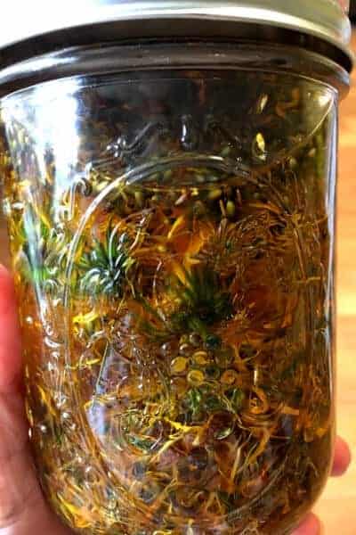 jar of calendula flower infused in almond oil