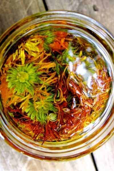 top of a jar filled with calendula oil