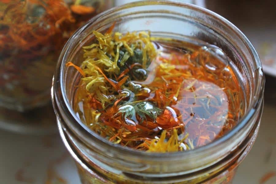 close up of a jar of calendula covered in oil