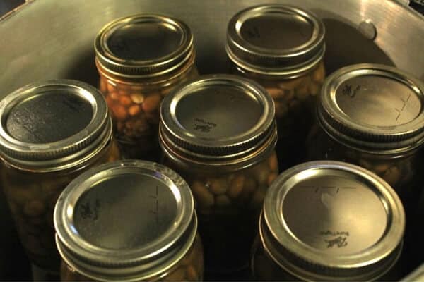 jars of dry beans ready to be canned in a pressure canner