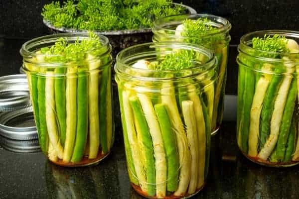 preserving yellow and green beans in jars with dill