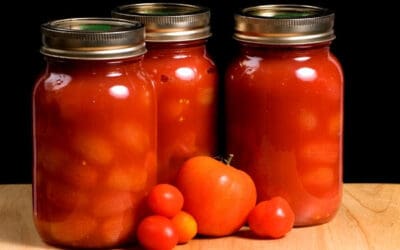 11 Ways to Preserve Tomatoes (& Replace Commonly Used Pantry Items!)