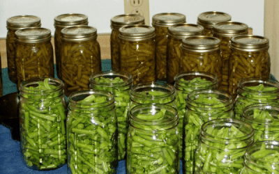 100+ Home Canning Recipes and Resources