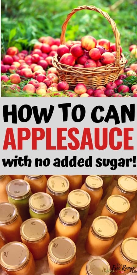 Canning Recipe: Learn how to make homemade applesauce- with no added sugar! Also includes instructions for canning applesauce in a water bath canner. 