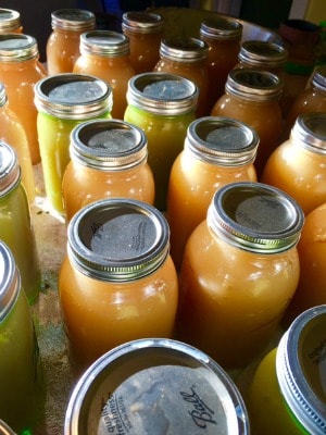 Home canning is an easy way to preserve your summer foods for eating all year long. Are you making any of these 12 canning mistakes that will cost you time, money, or even your health?