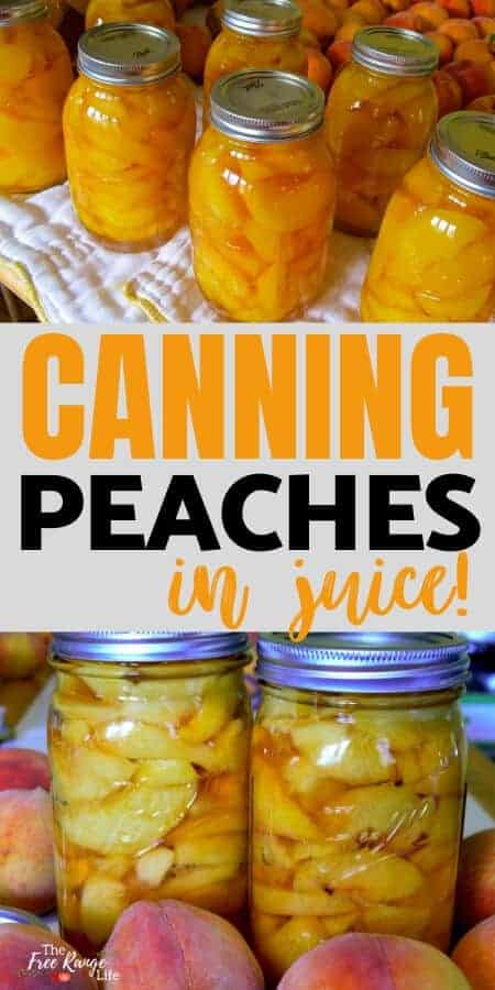 canning peaches in juice with pictures of home canned peaches