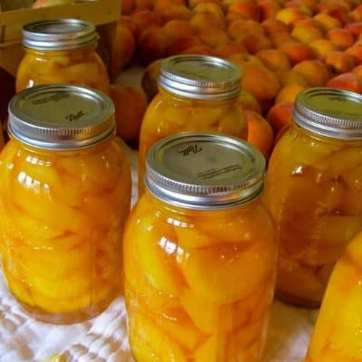 Canning Peaches in Juice- No Sugar Added!