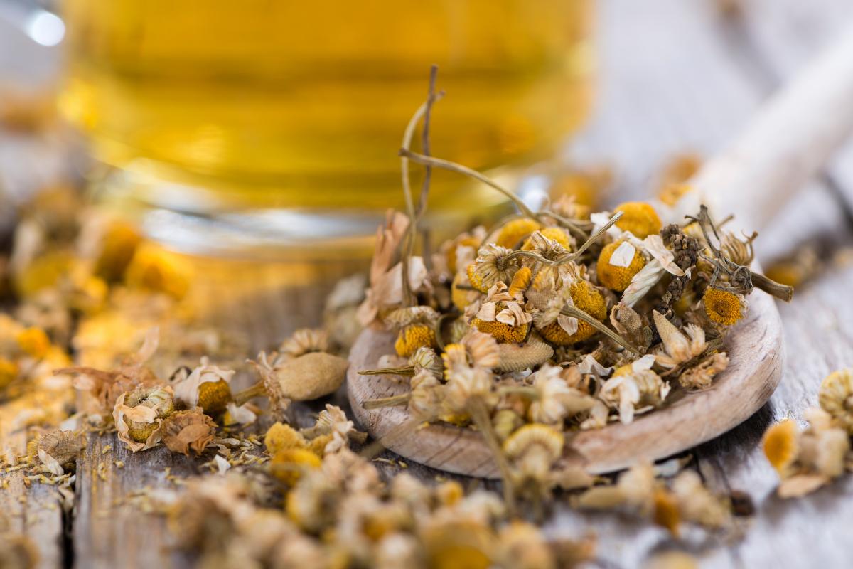 chamomile tea and close up flowers