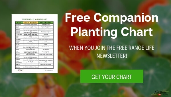 free companion planting chart