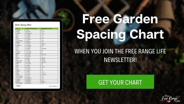 Garden Spacing: How Far Apart Should Plants Be in Your Garden