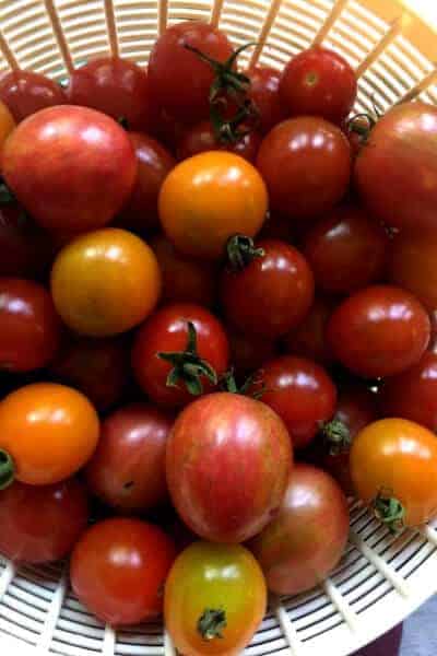 basket of assorted cherry heirloom tomatoes